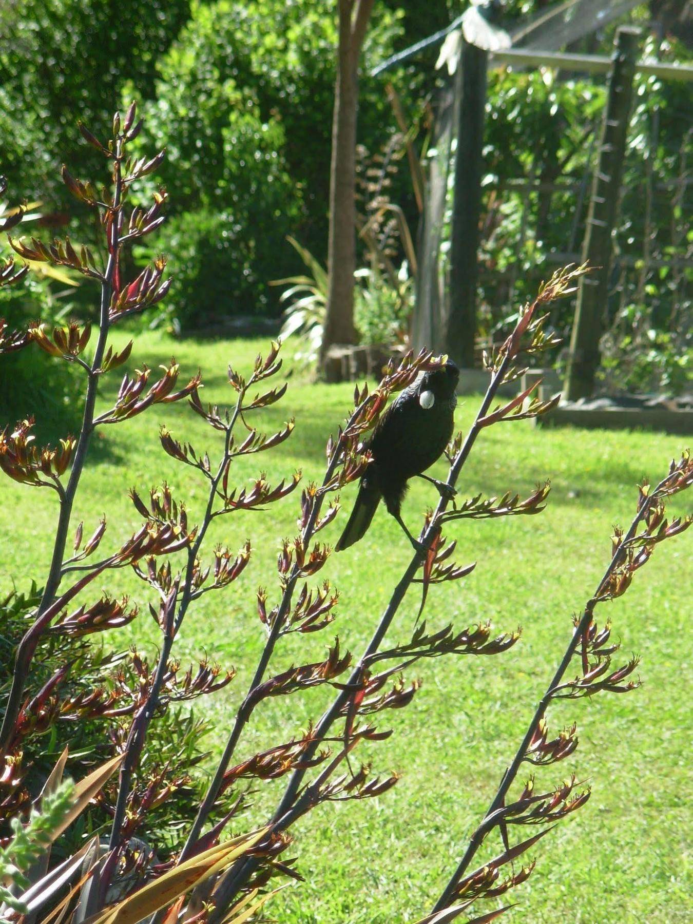 Wetland View Park Villa Anatori Luaran gambar